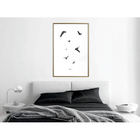 Poster Birds-01