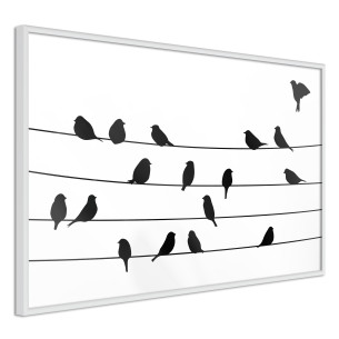 Poster Birds Council Meeting