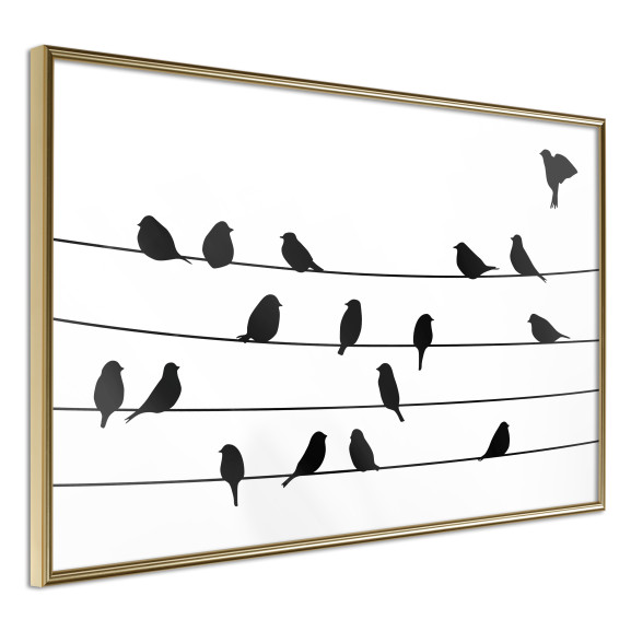 Poster Birds Council Meeting