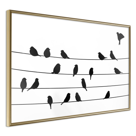 Poster Birds Council Meeting-01