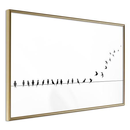 Poster Birds on a Wire-01