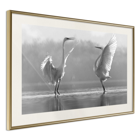 Poster Black and White Herons-01