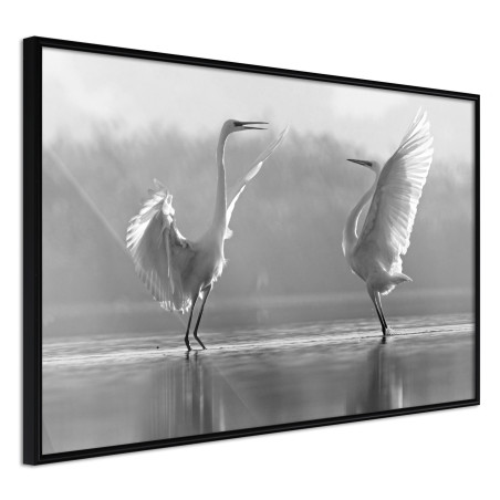 Poster Black and White Herons-01