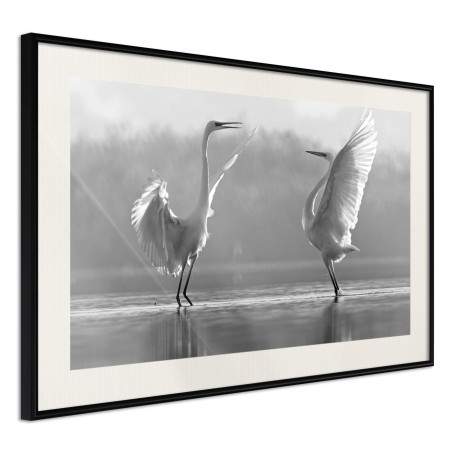 Poster Black and White Herons-01