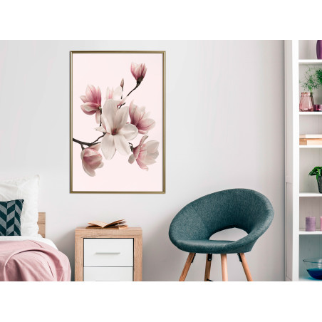 Poster Blooming Magnolias I-01