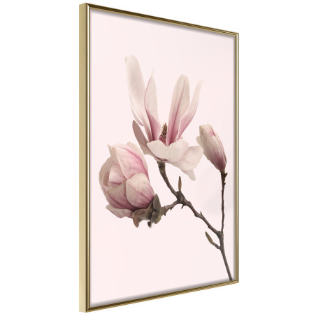 Poster Blooming Magnolias II-01