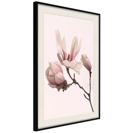 Poster Blooming Magnolias II-01