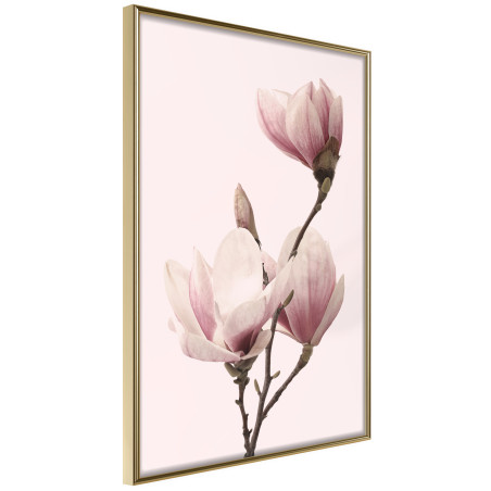 Poster Blooming Magnolias III-01