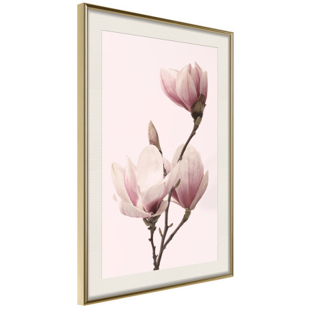 Poster Blooming Magnolias III-01