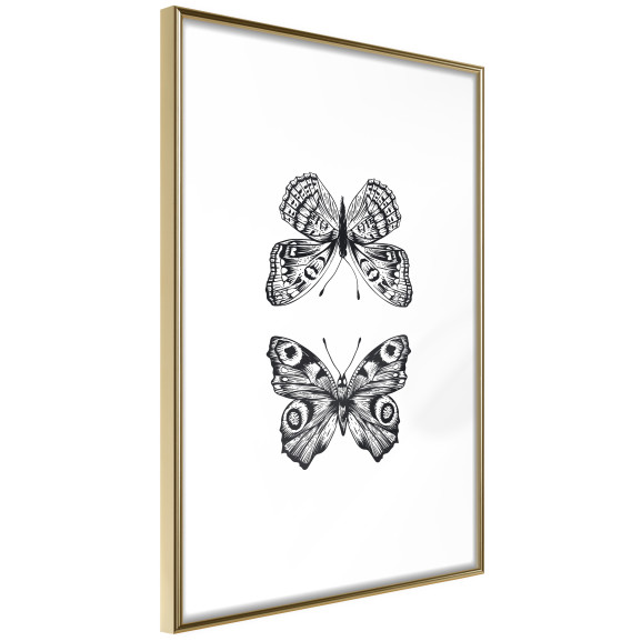 Poster Butterfly Collection I
