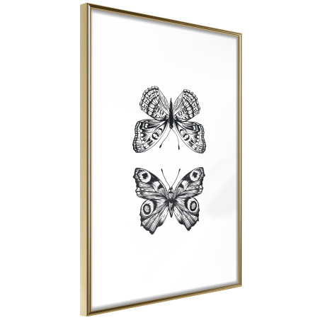 Poster Butterfly Collection I-01