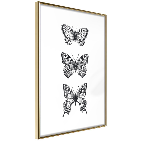 Poster Butterfly Collection III