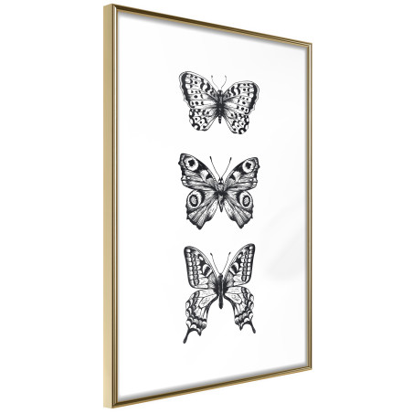 Poster Butterfly Collection III-01