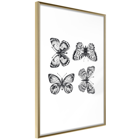 Poster Butterfly Collection III-01