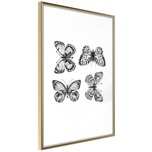 Poster Butterfly Collection III