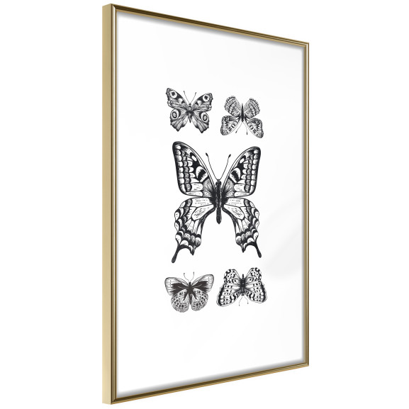 Poster Butterfly Collection IV