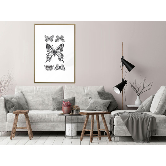 Poster Butterfly Collection IV