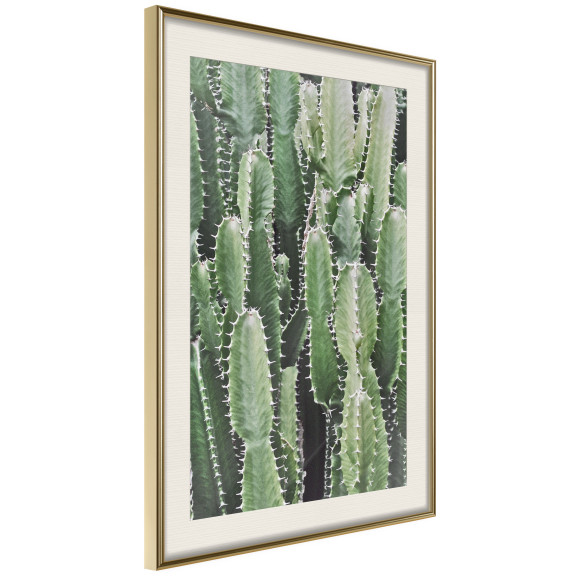 Poster Cactus Plantation