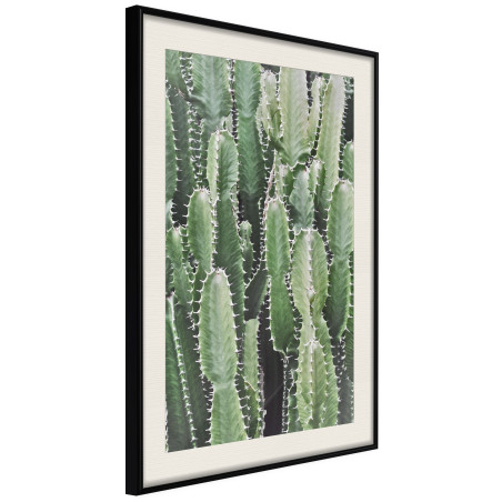 Poster Cactus Plantation-01