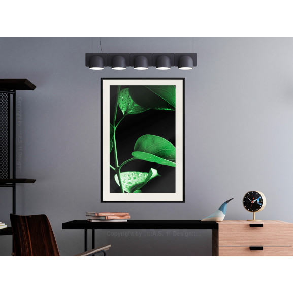 Poster Calm After the Storm