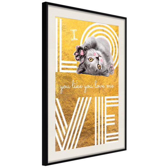 Poster Cat Love