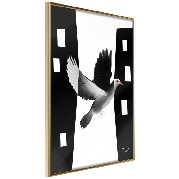 Poster Caught in Flight