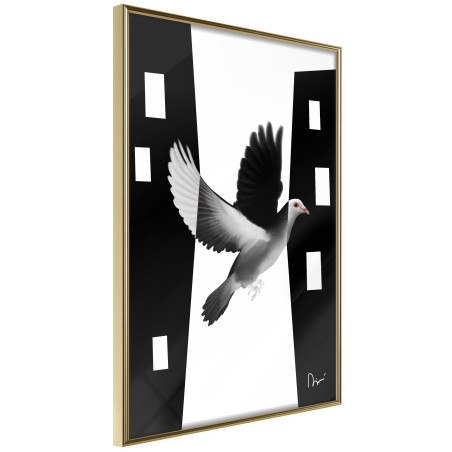 Poster Caught in Flight-01