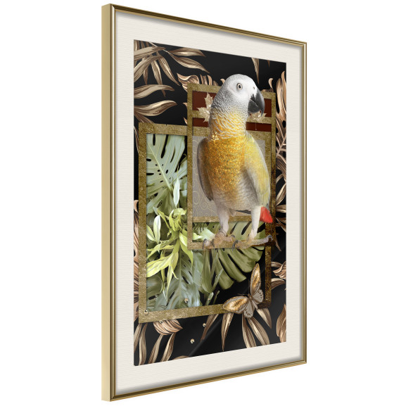 Poster Composition with Gold Parrot