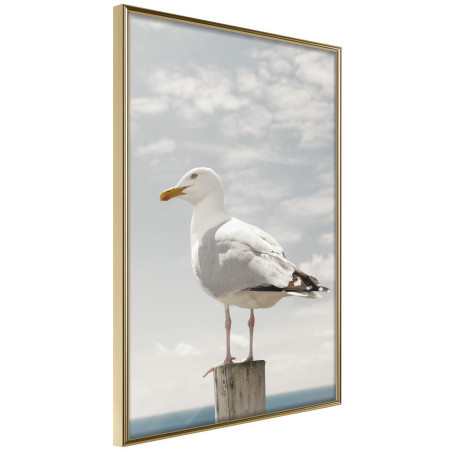 Poster Curious Seagull-01