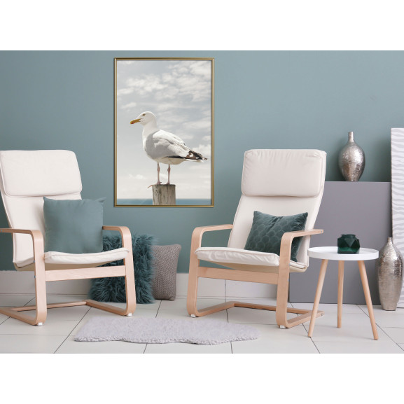 Poster Curious Seagull