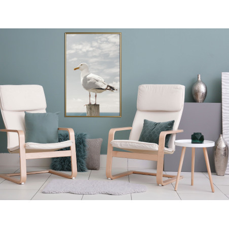 Poster Curious Seagull-01