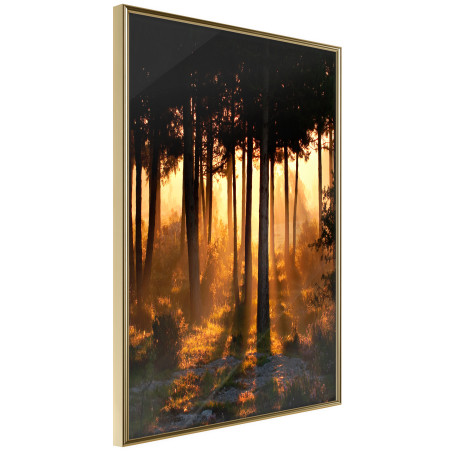 Poster Dark Tree Tops-01