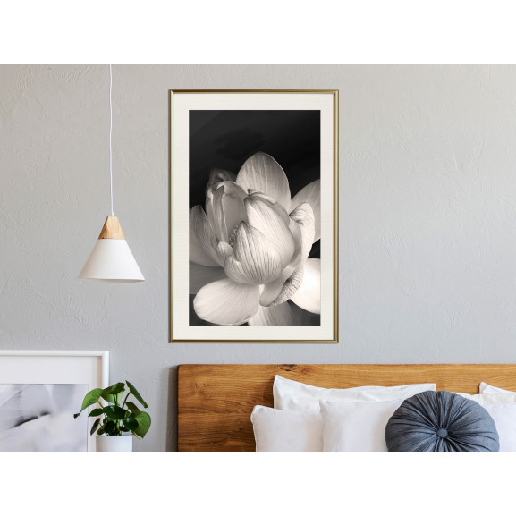 Poster Delicacy of a Flower