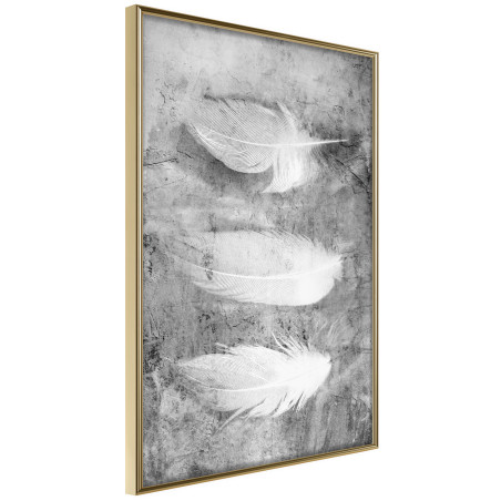 Poster Delicate Feathers-01