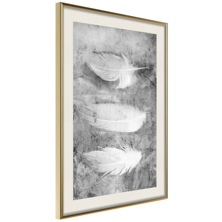 Poster Delicate Feathers-01