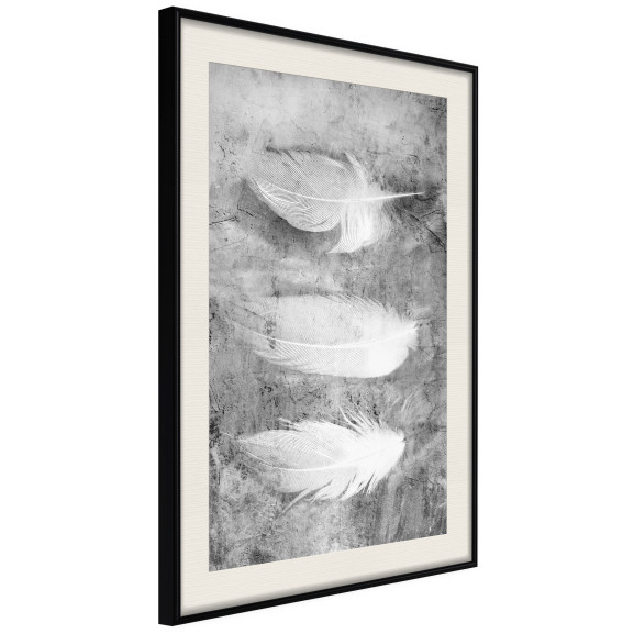 Poze Poster Delicate Feathers