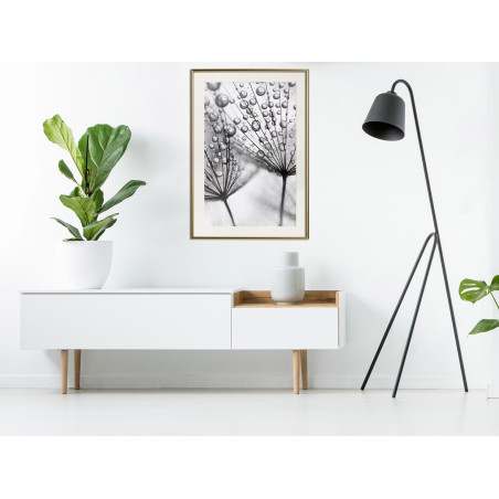 Poster Dew in the Macro Scale-01