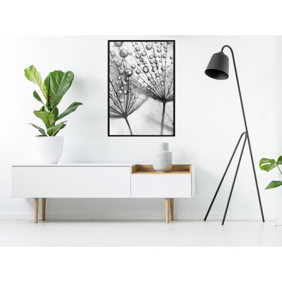 Poster Dew in the Macro Scale