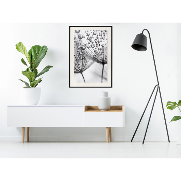 Poster Dew in the Macro Scale