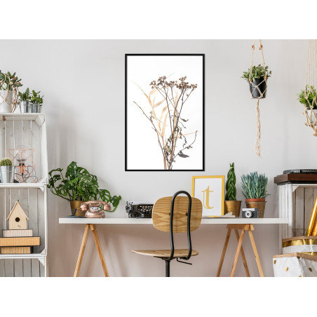 Poster Diary of a Herbalist-01