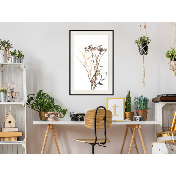 Poster Diary of a Herbalist