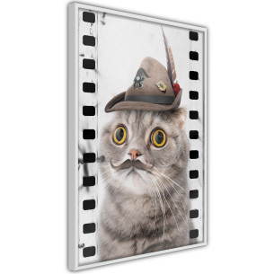 Poster Dressed Up Cat