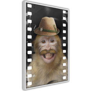 Poster Dressed Up Monkey