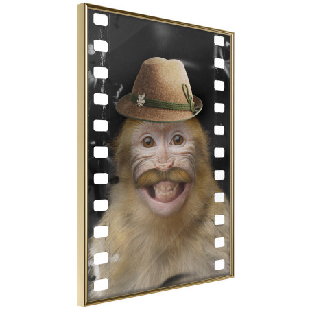 Poster Dressed Up Monkey-01