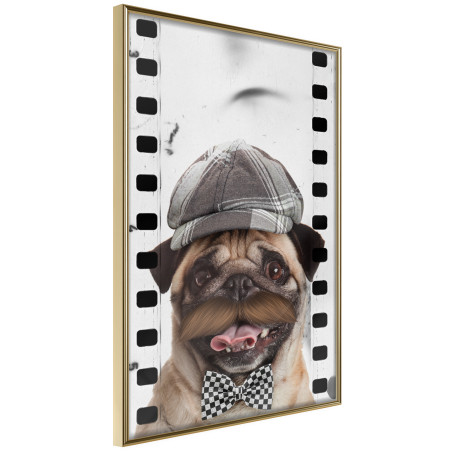 Poster Dressed Up Pug-01