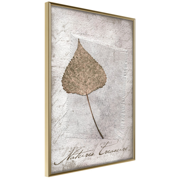 Poster Dried Leaf