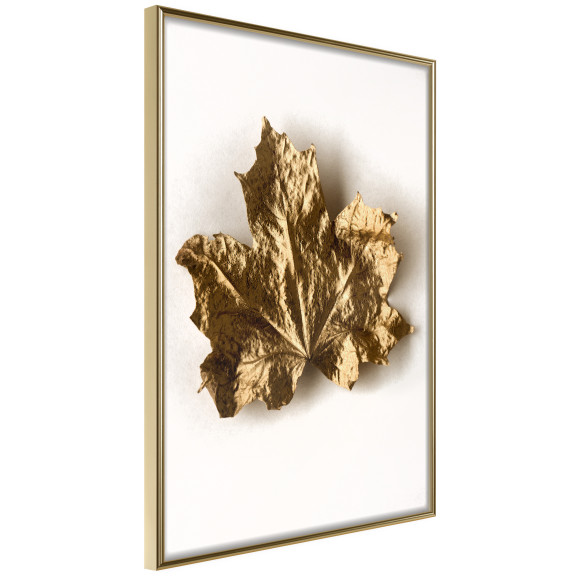 Poster Dried Maple Leaf