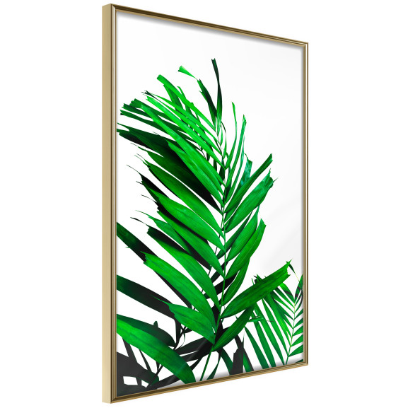 Poster Emerald Palm