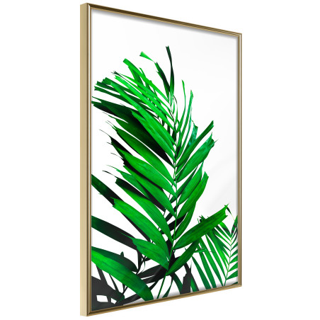 Poster Emerald Palm-01