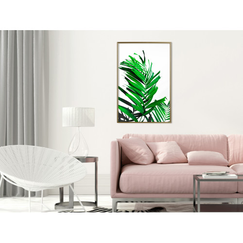 Poster Emerald Palm